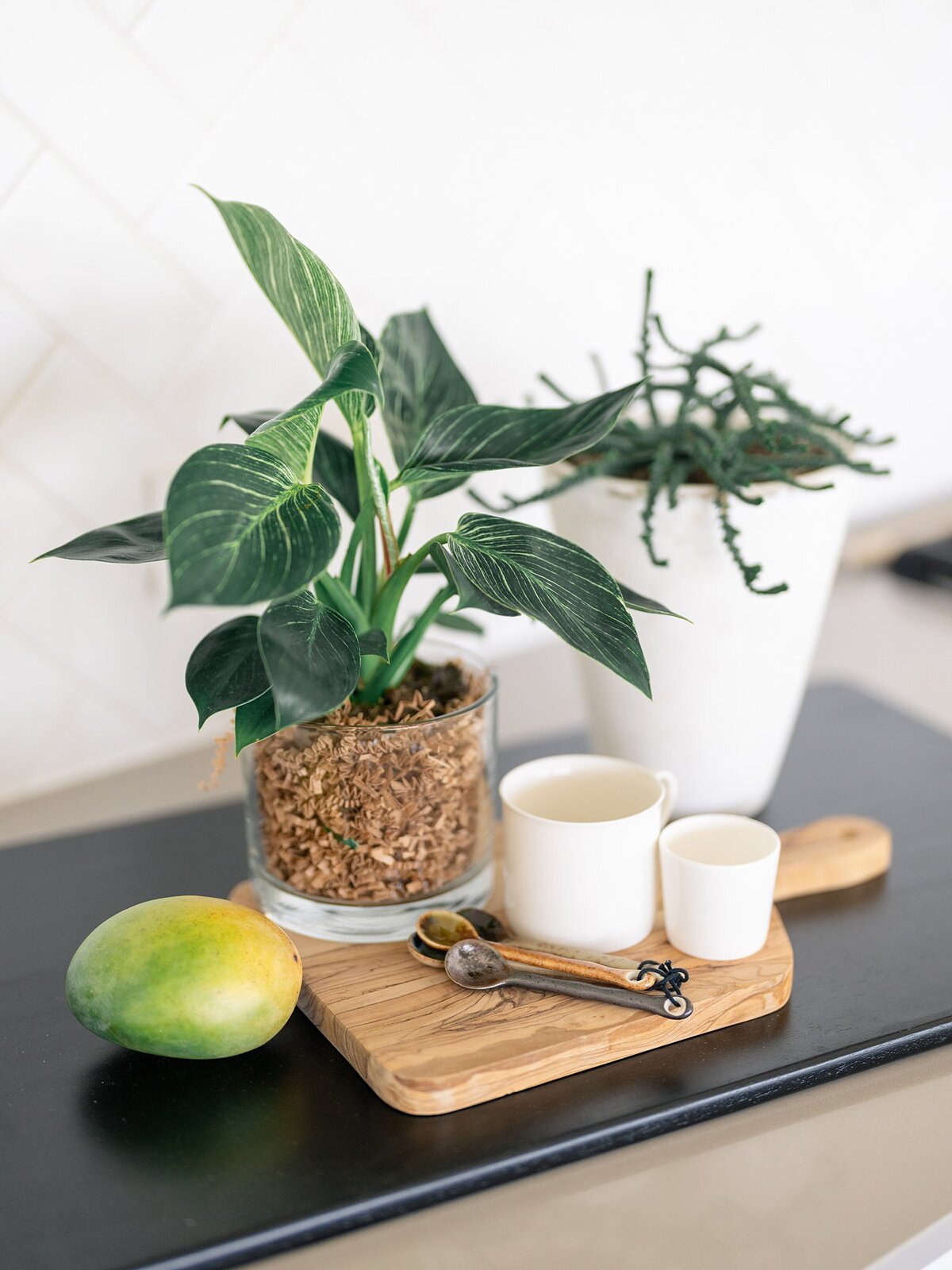 10_Austin Interiors Photographer_Austin Interior Design_Paige Vaughn Photo