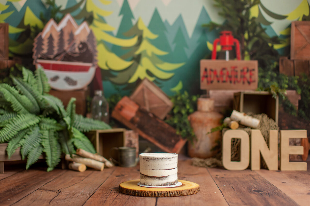 Huntsville AL Cake Smash Photographer