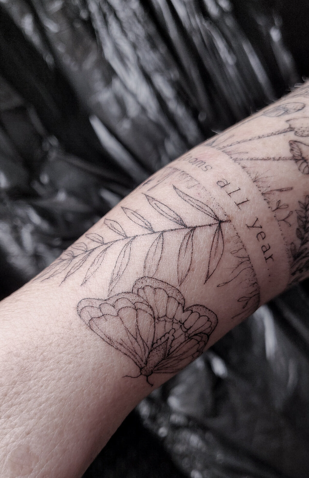 EmilyA Tattoo nature, organic, fine line, band