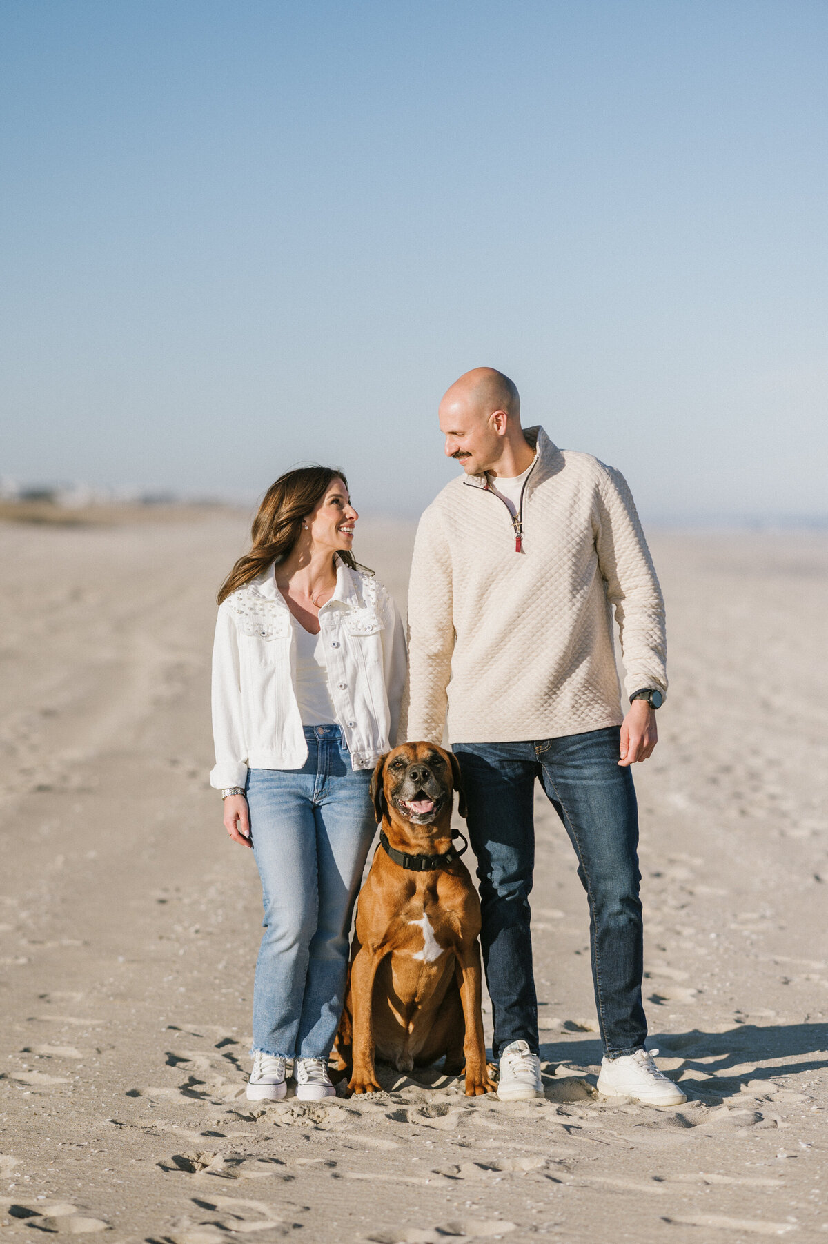 beach-dog-photographer-nj