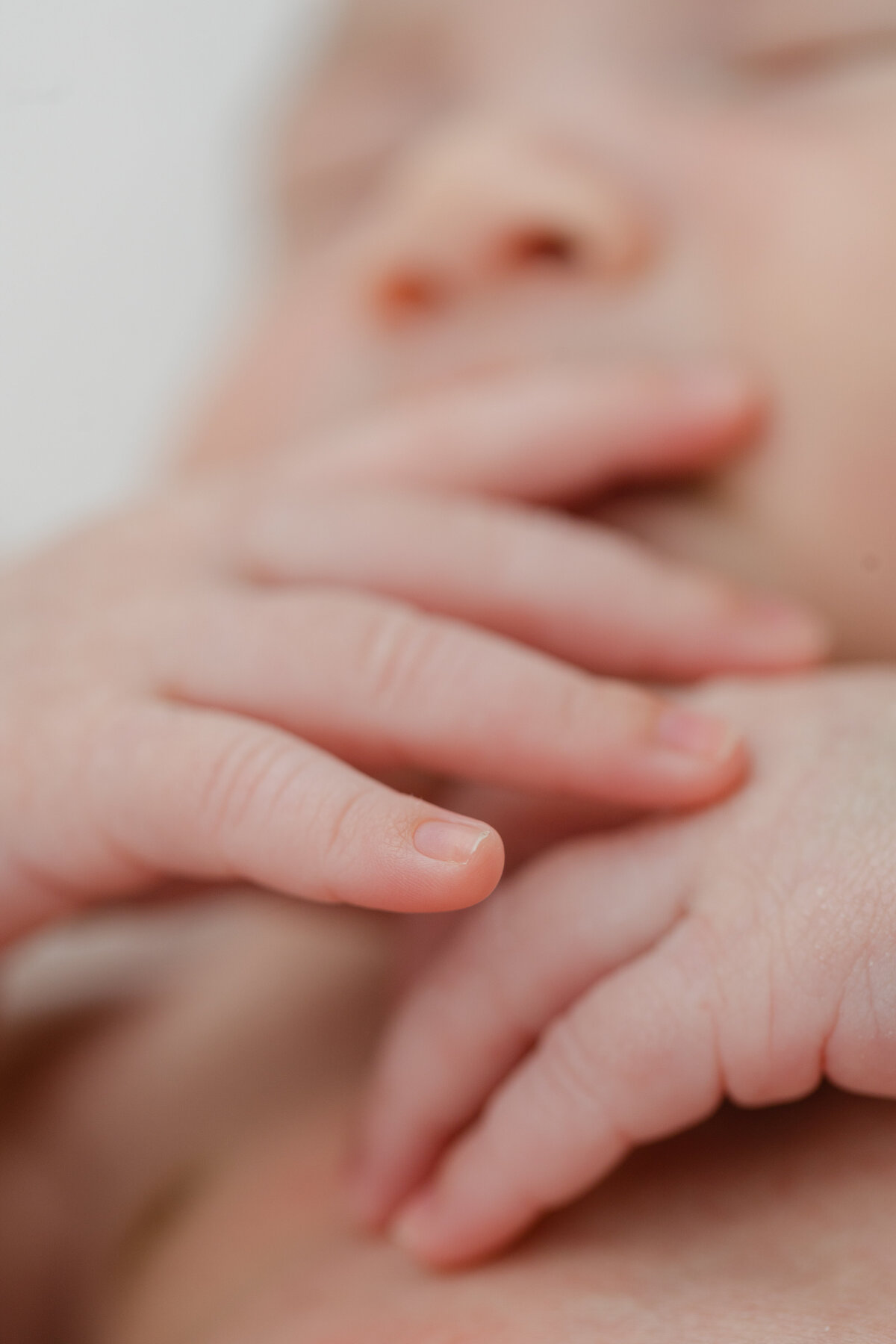 Philadelphia newborn portraits - 17
