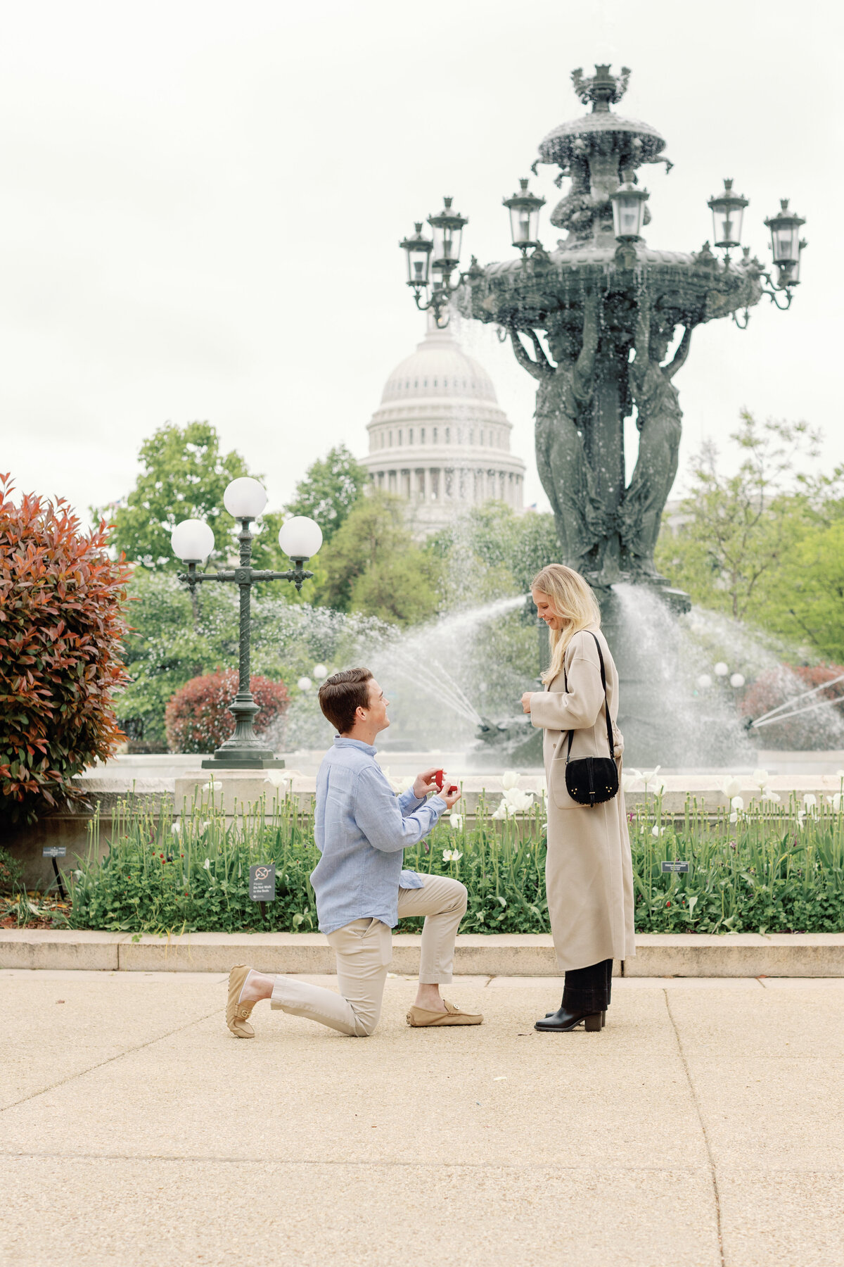 Stephen Proposal-3