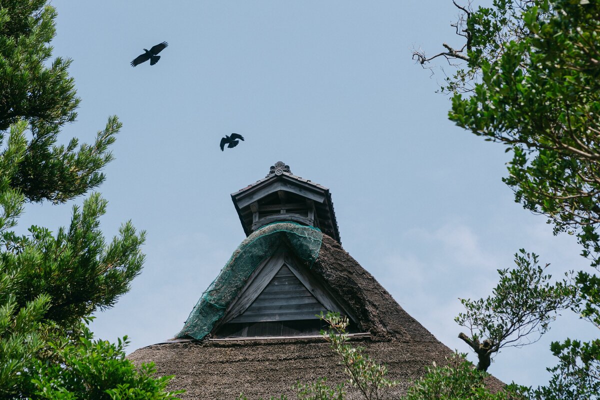 0215-Falling-Doves-Support-Sake-Tour-24-Japan-Noto-Matsunami-0007-JOURNAL-0215