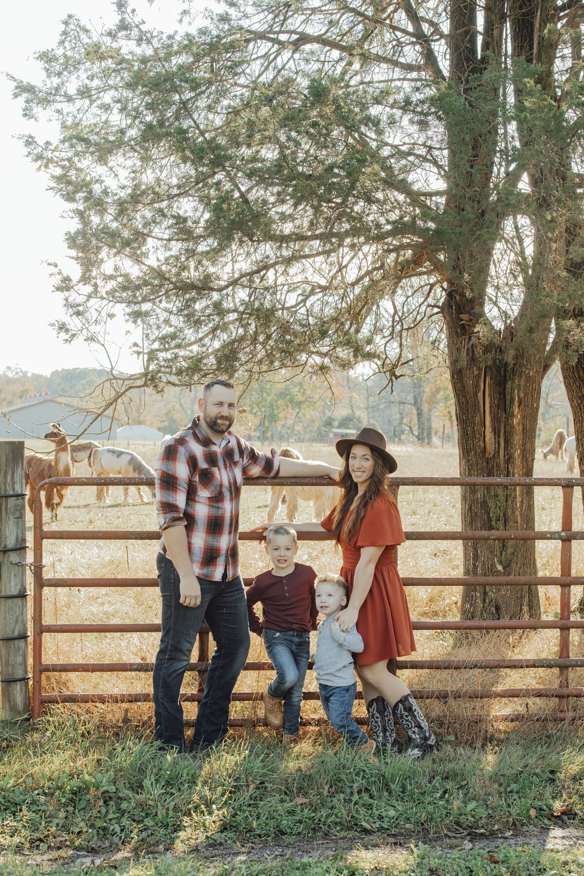 Alpaca Farm | Family posing for fall portraits at the woods’ edge | Ringoes, New Jersey