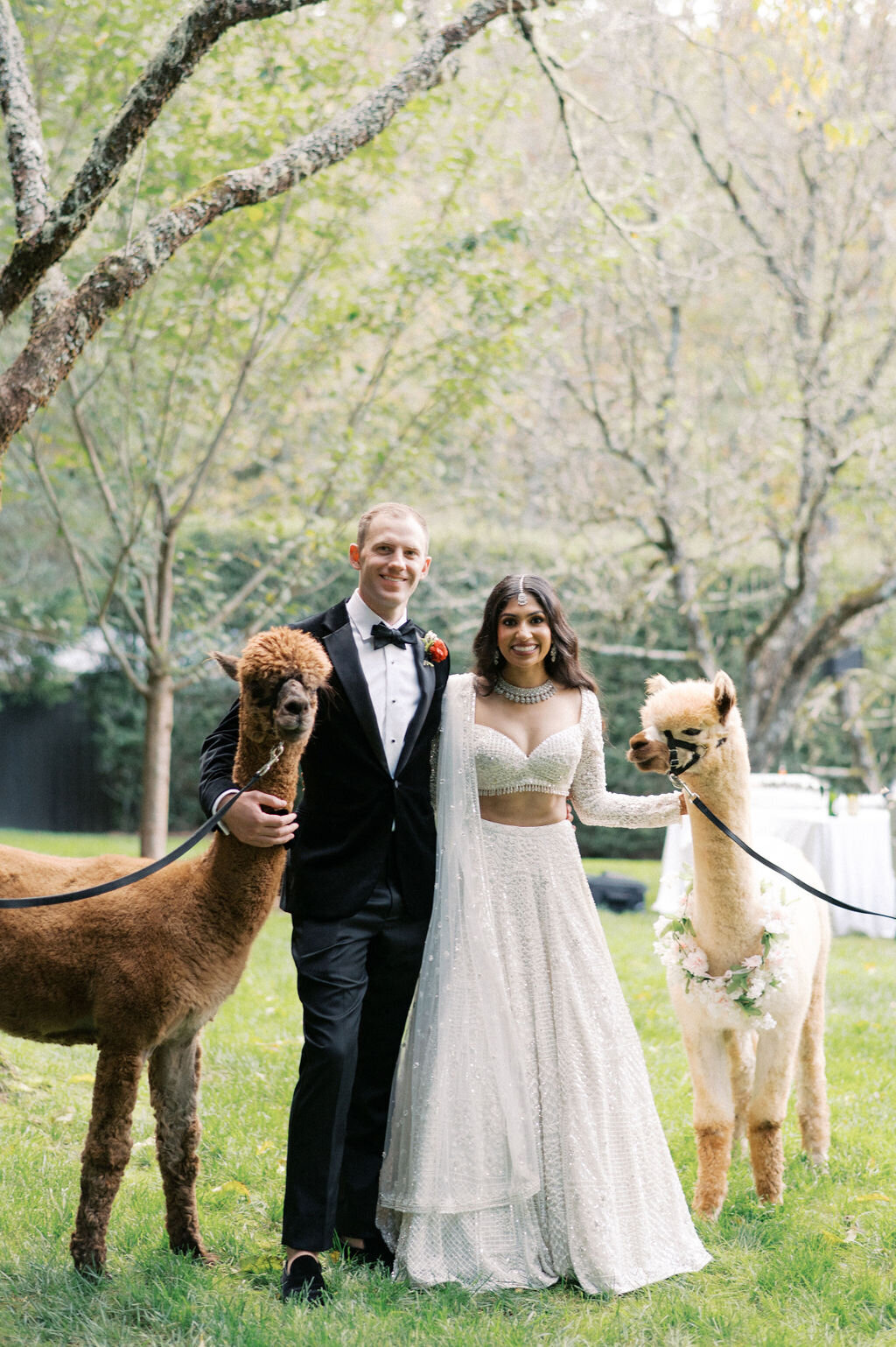 Bride and groom stand smiling each holding an alpaca leash at Old Edwards Inn in Highlands, NC. 