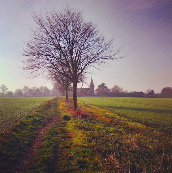 Walk-to-Ickham