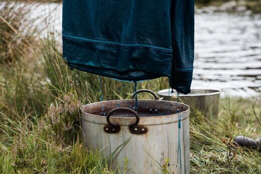 indigo plant dye