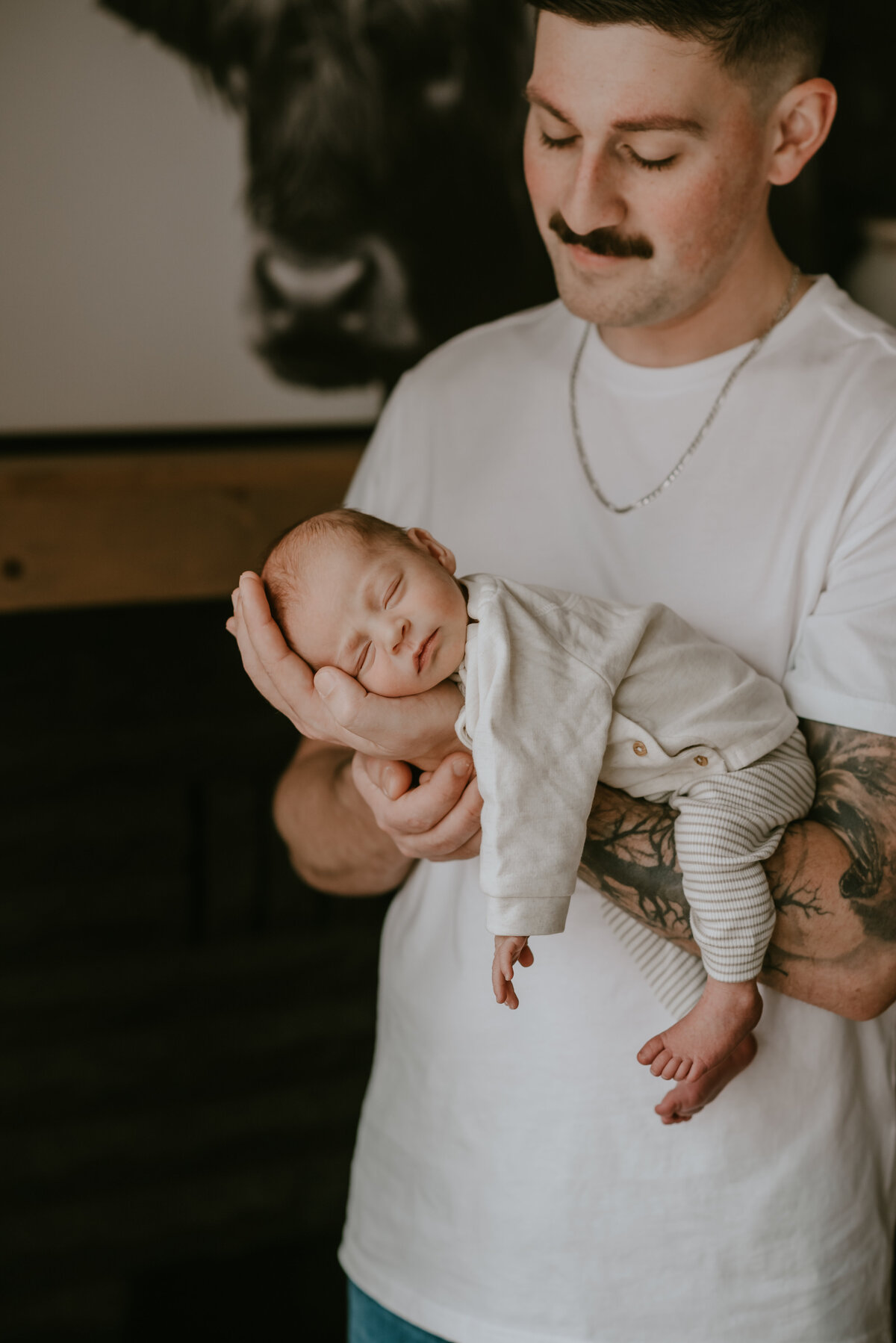 olympia newborn photographers