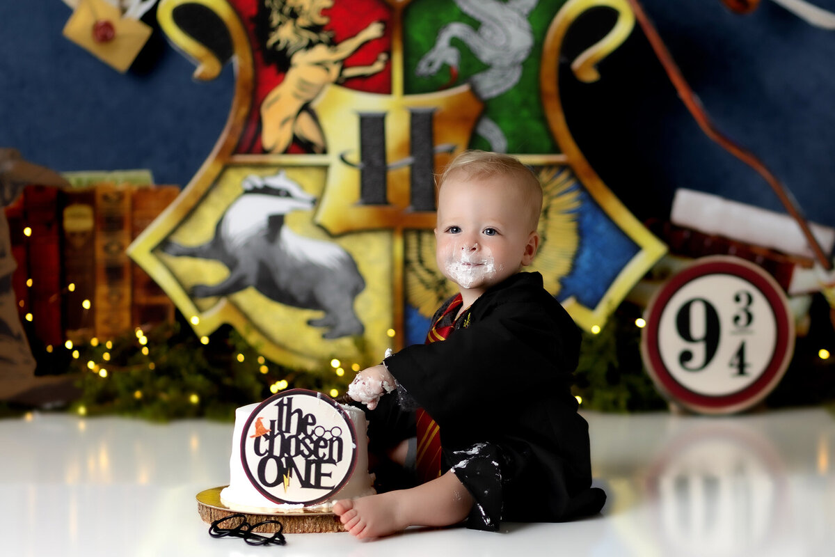 bakers-range-cake-smash-photographer-harry-potter
