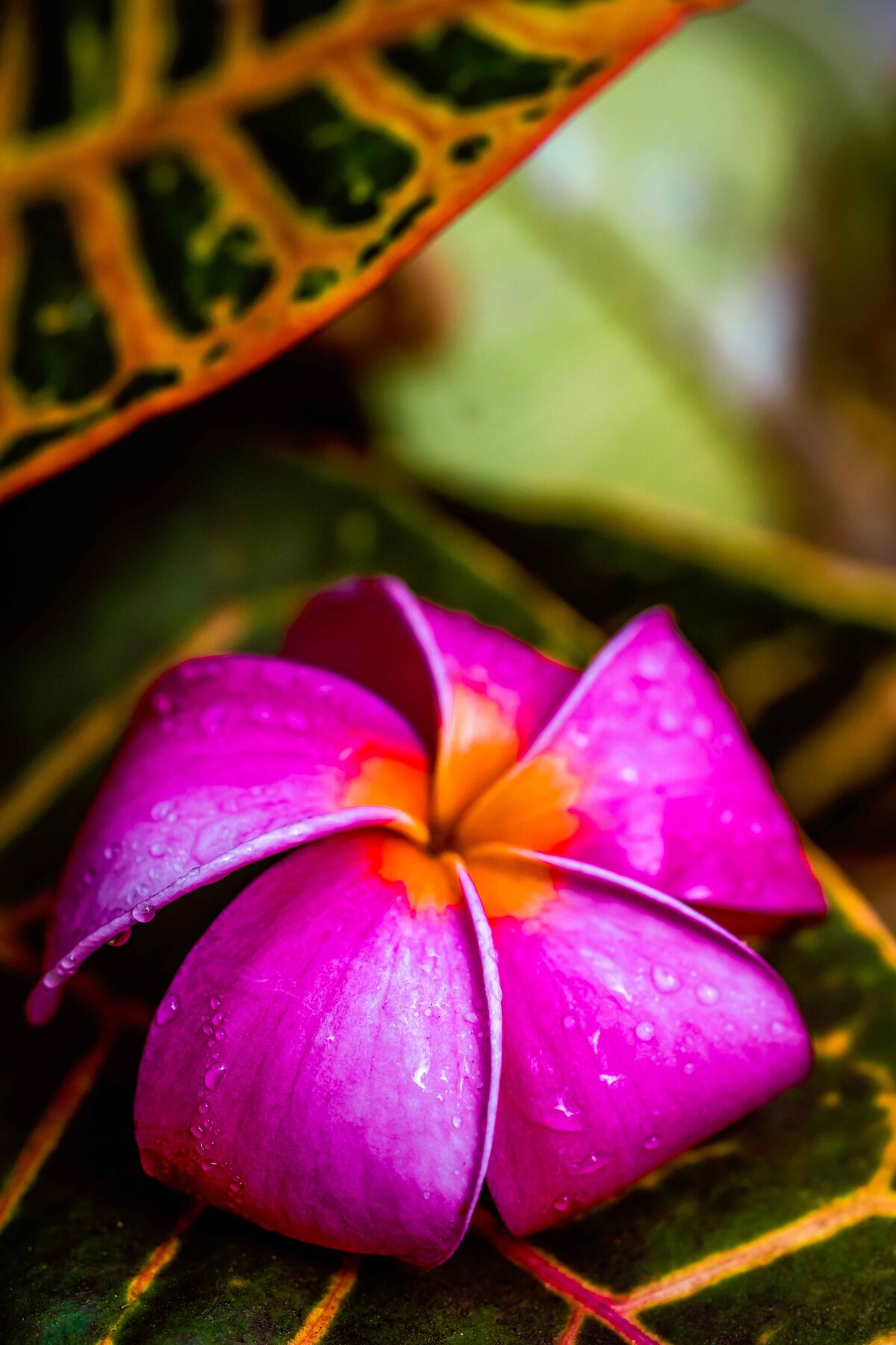 _DSC4400-Edit