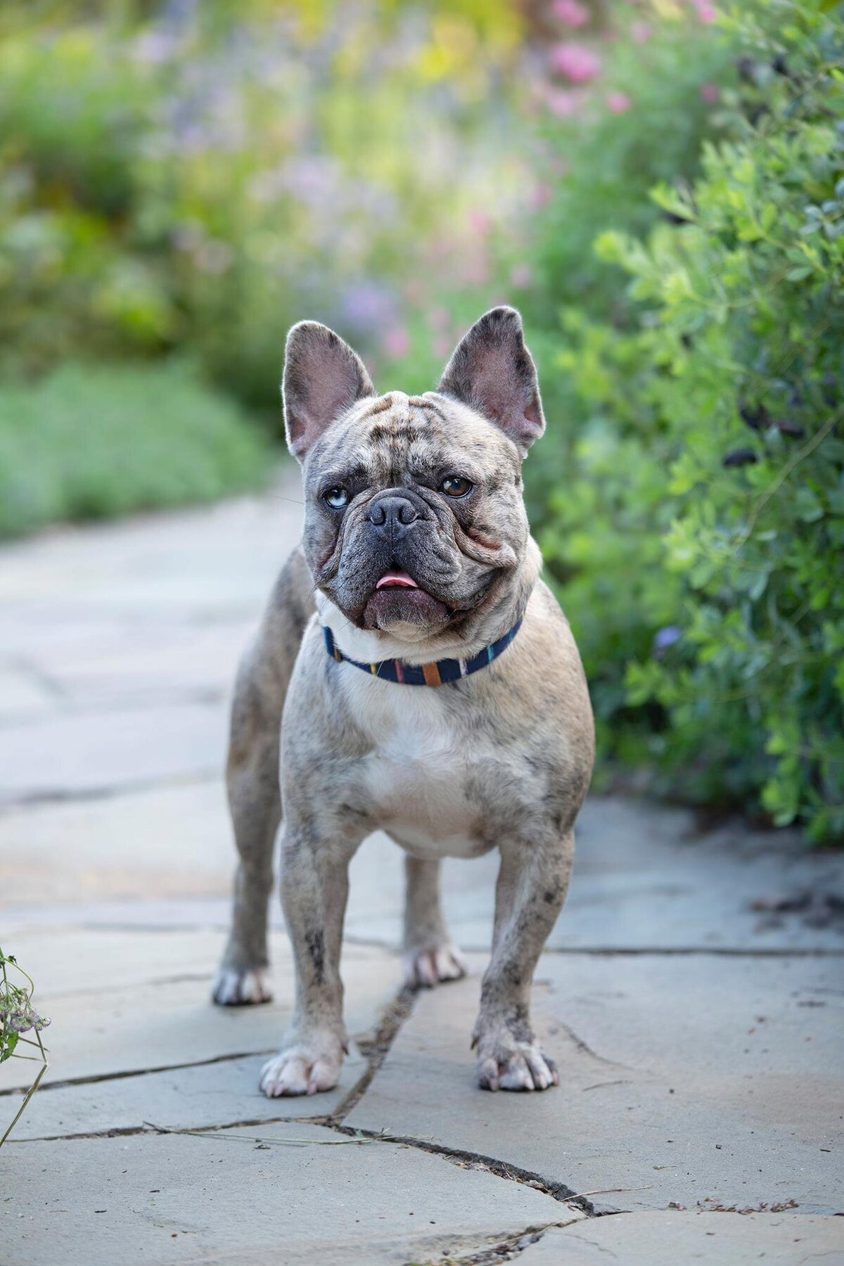 470224990_2817240755144621_3092646987718216239_n