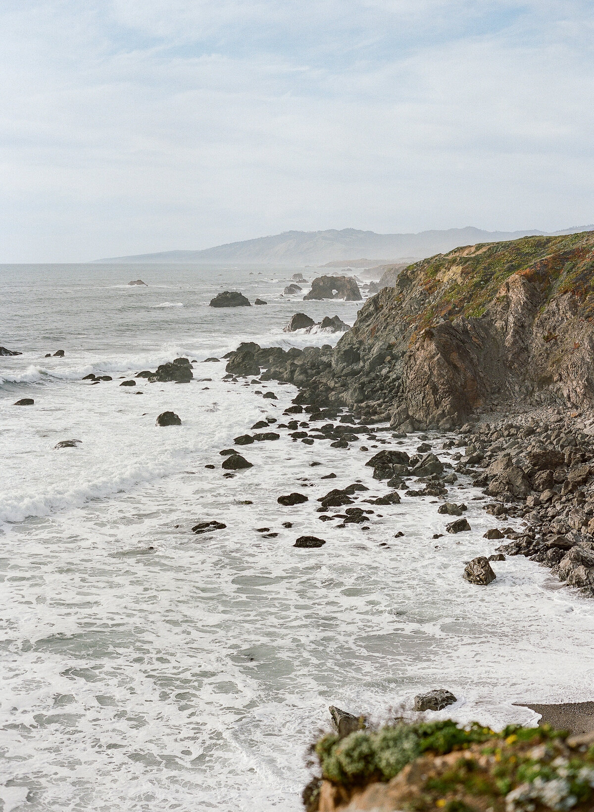 Sonoma Coast Engagement-9