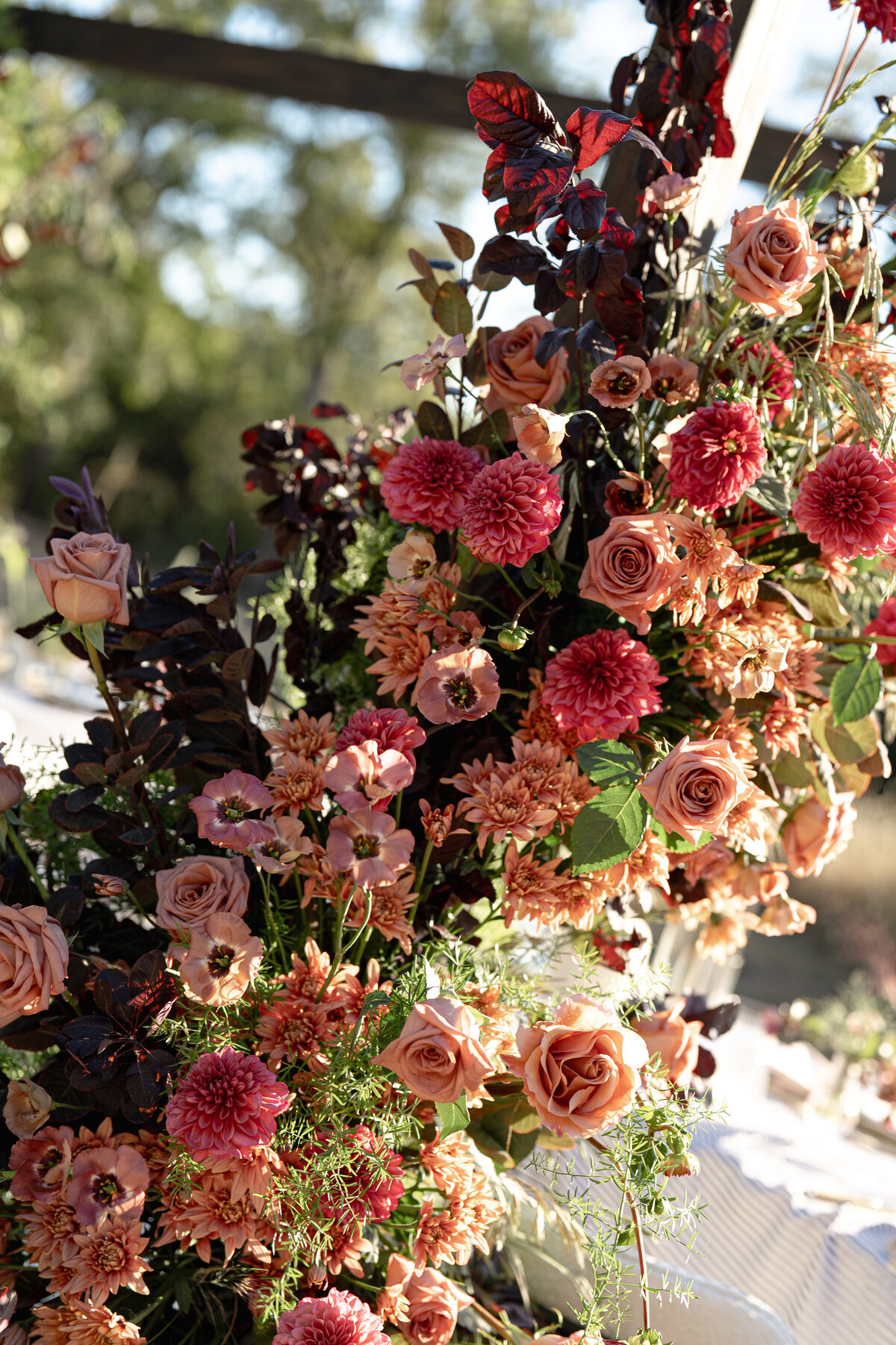 The Editorial Series-121