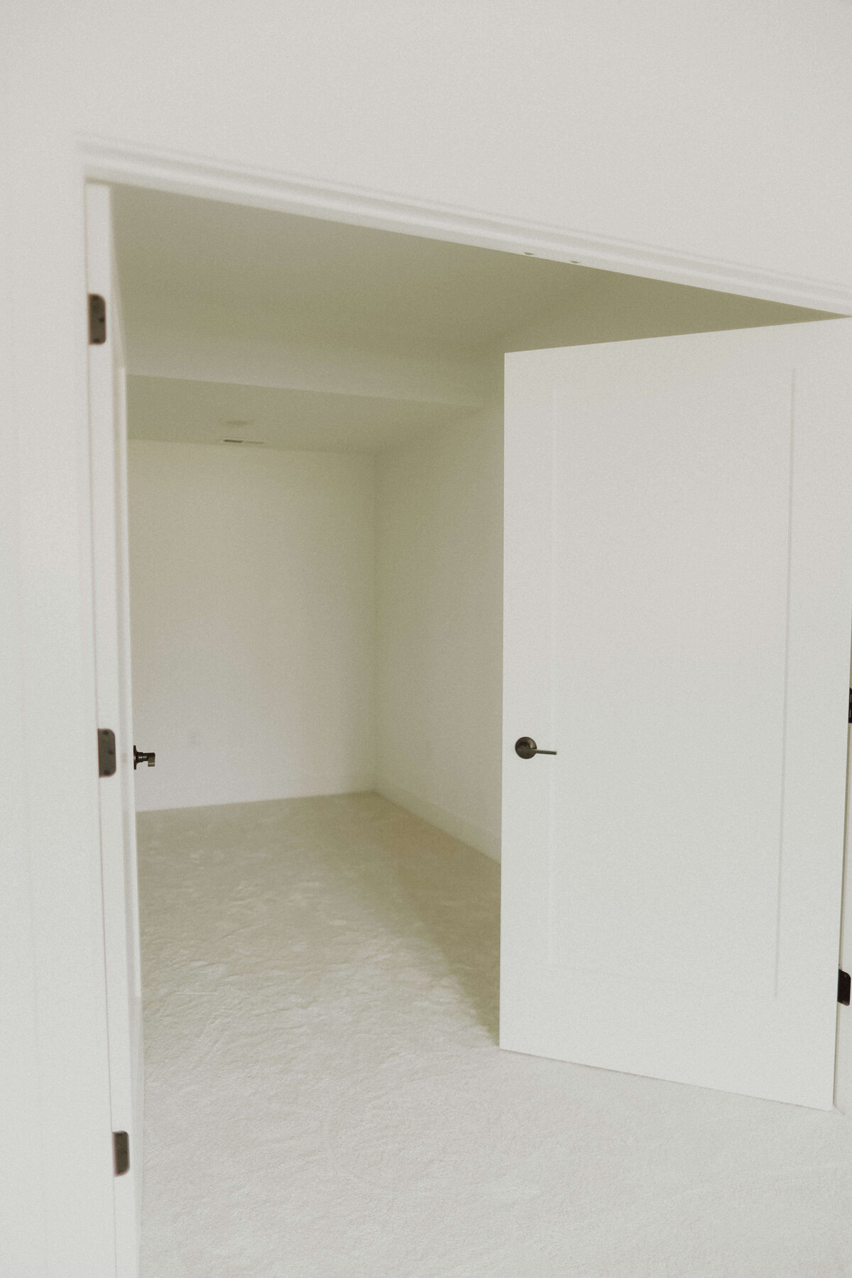 5320-Flex-Spaces-Urbandale-Central-Iowa-Custom-Home-JRL-Builders-3F1A8322