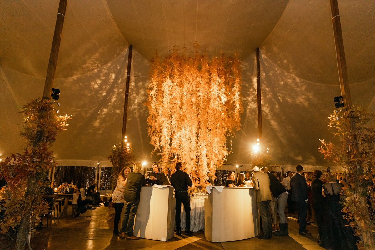 TellurideWeddingPhotographer-AbieLivesayPhotography-SoireeTellurideWeddingPlanner-LaurieJon-1138