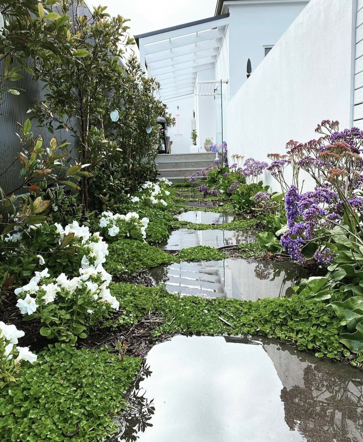 Luscious greenery in this garden design with paving by total landscapes & design Warrnambool