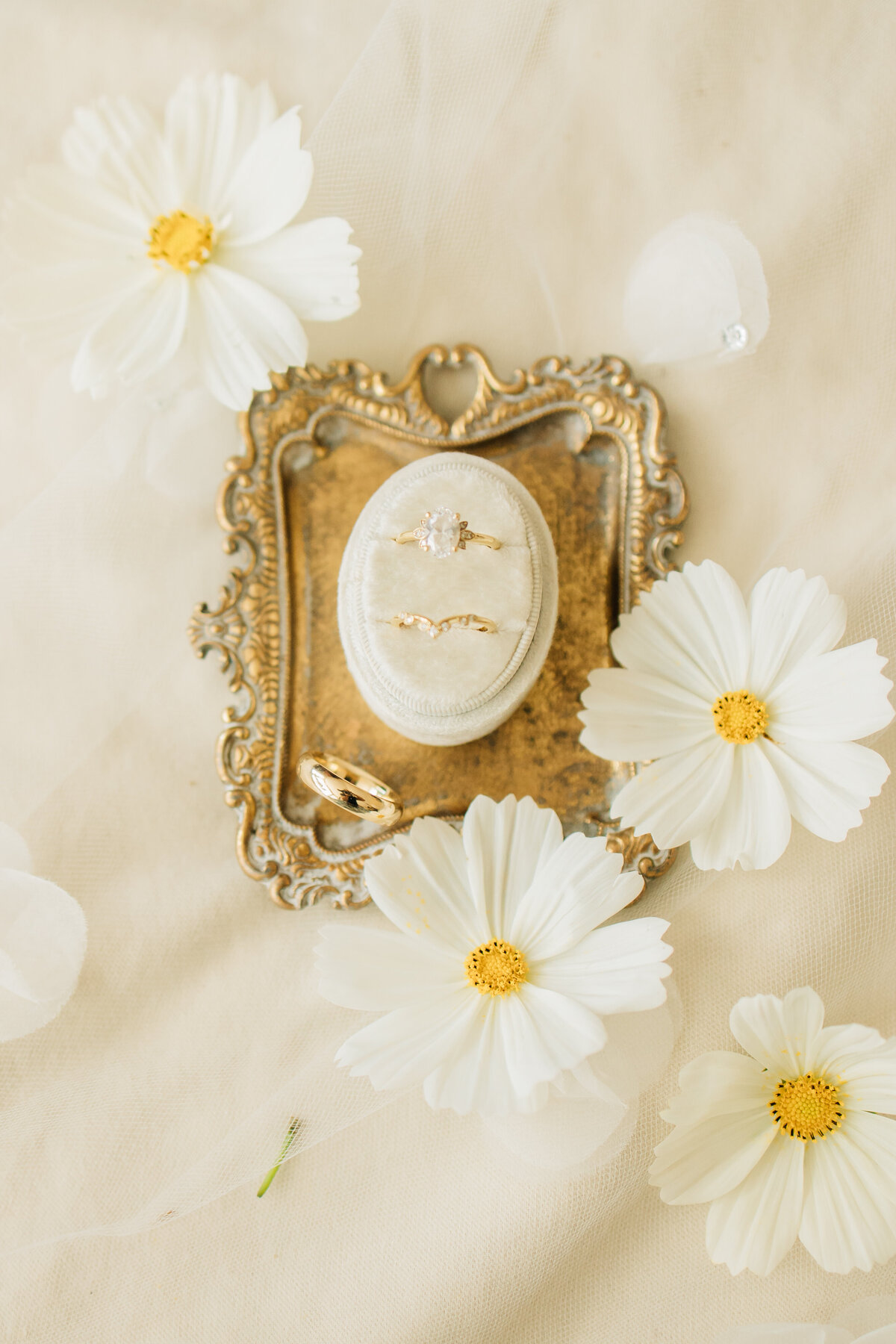 AllieJohn_DecoraToppPhotography2023-7579