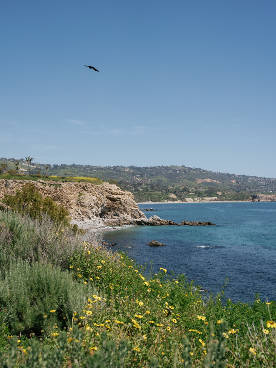 Terranea_Resort_Weddings_by_Susan_Dunne_Destination_Wedding_Planner_Palos_Verdes-13