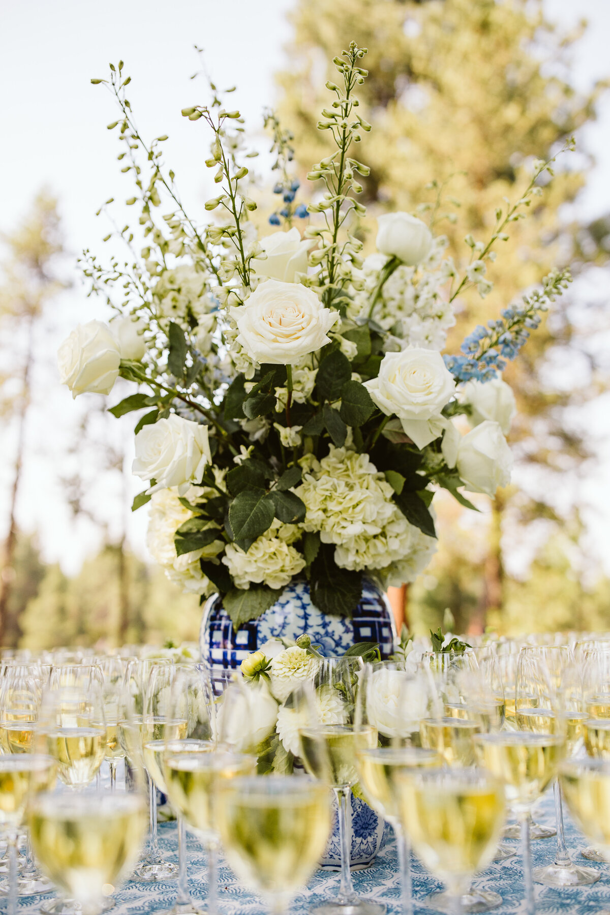 Red Aspen Photography-461