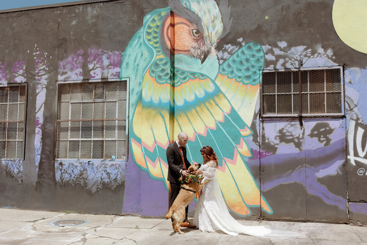 Bride and groom in downtown Denver with their dog after their wedding ceremony.