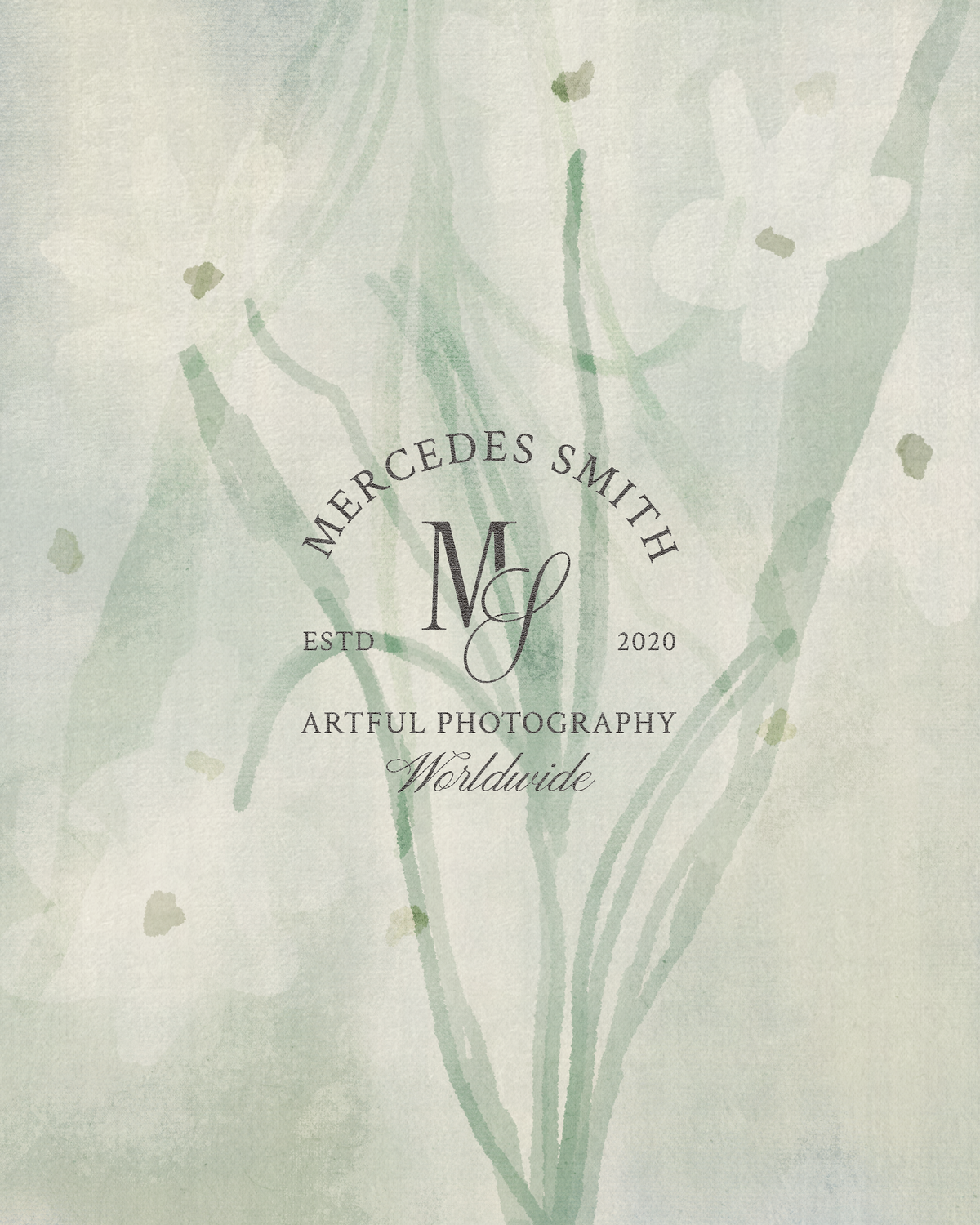 MS Photo--19