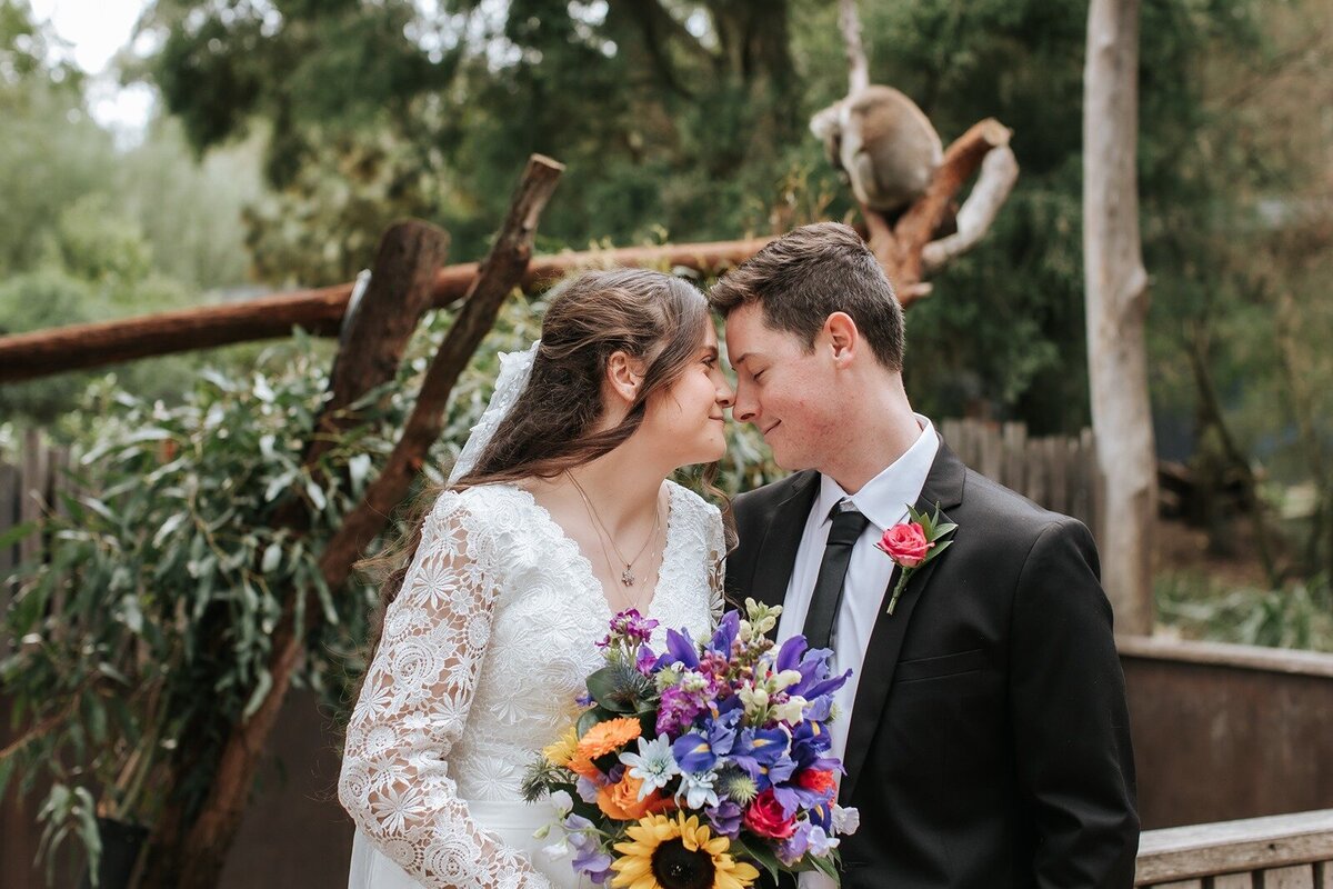 Couple getting married amongst the wildlife and nature at Healesville Sanctuary
