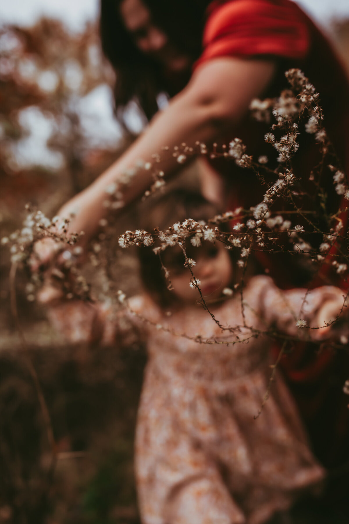 lindsay-wilson-photography-88