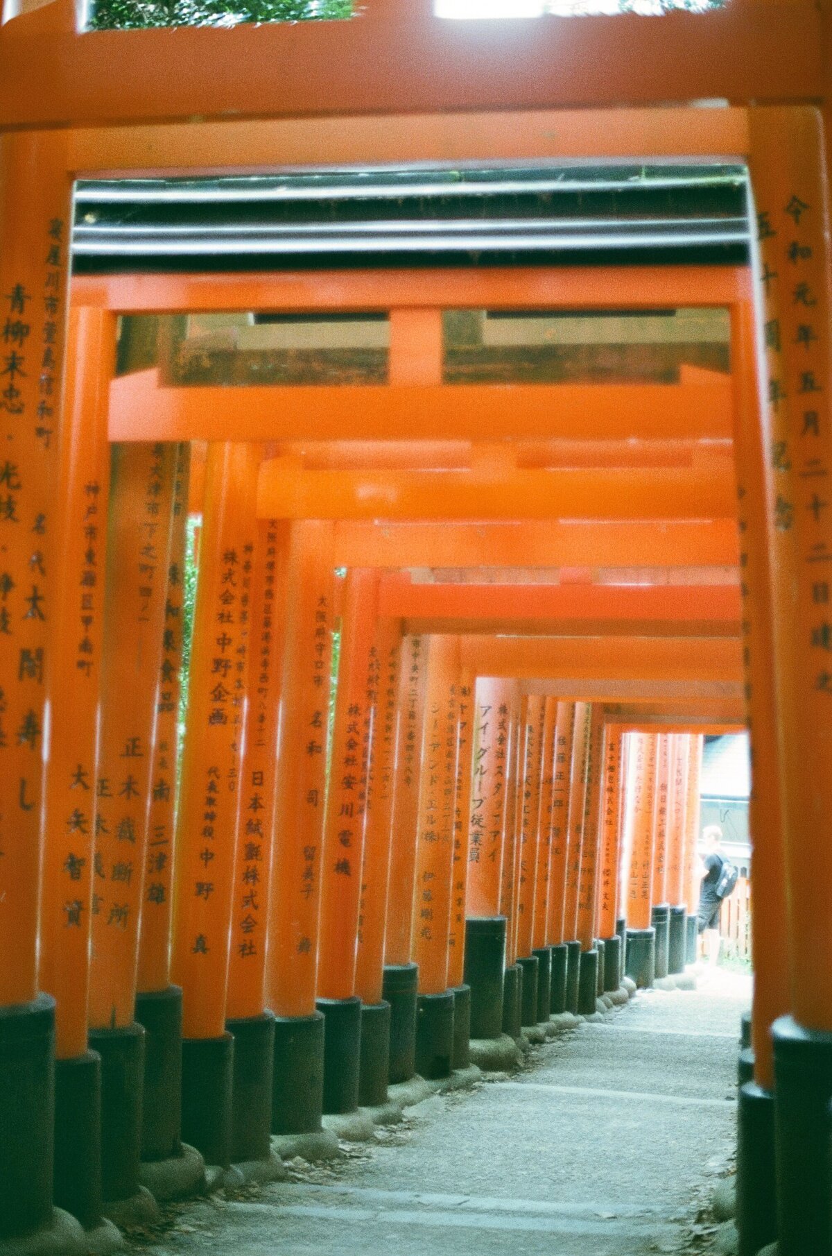 Rainstone Photography 241031 Japan & Seoul Trip-48