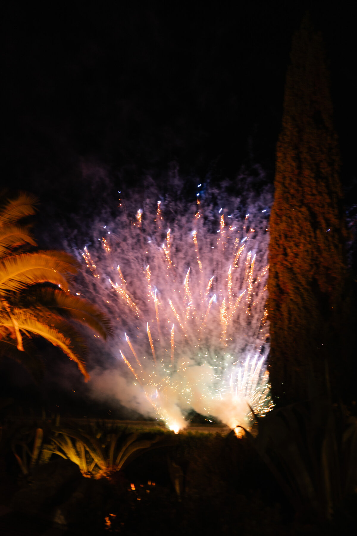 Nina and Nate Previews - Sky and Savvy Photo-122