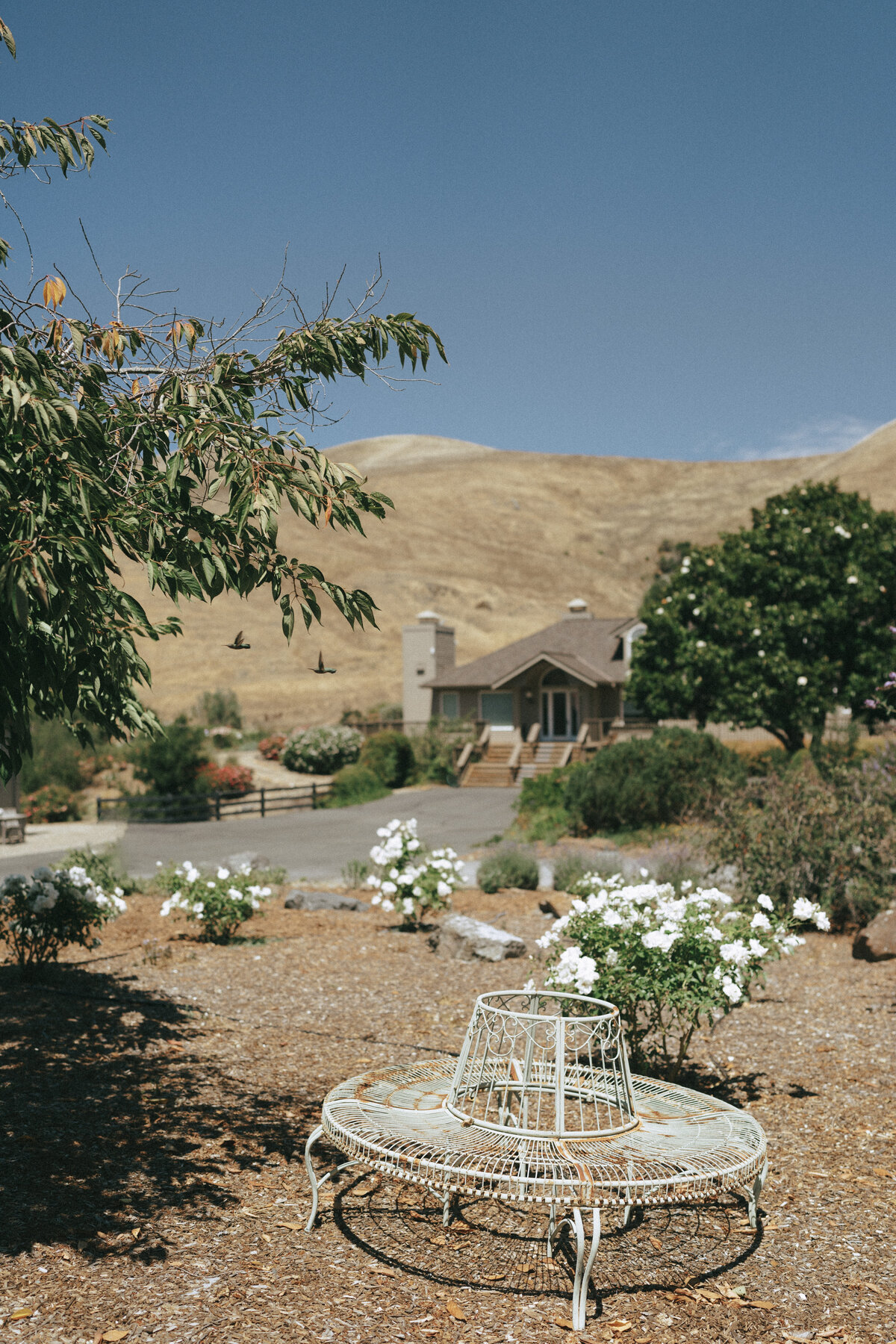 Intimate Wine Country Wedding in Sonoma, California