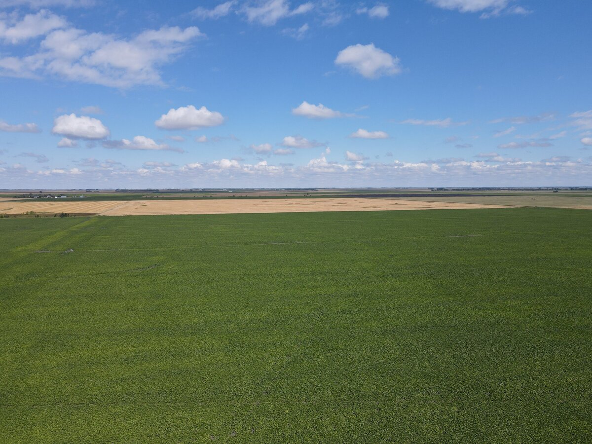DJI_0868