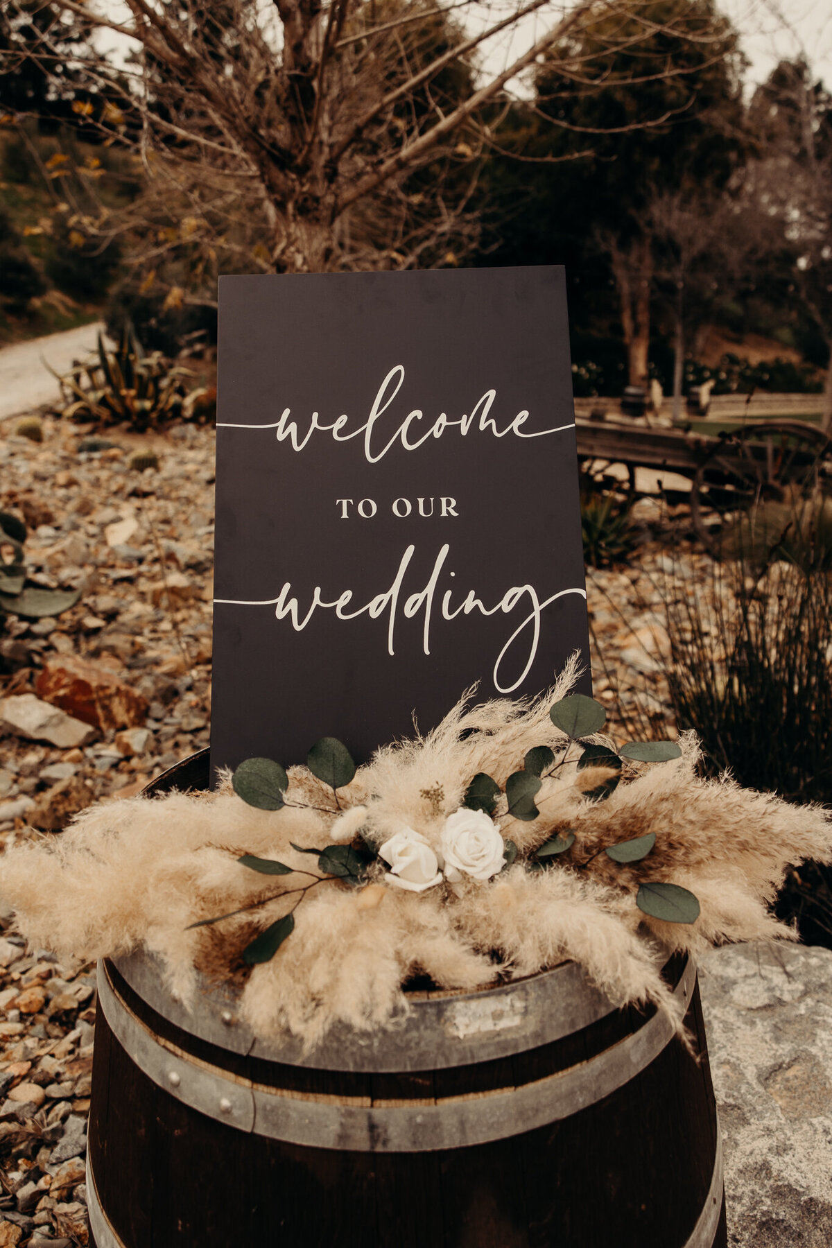 Jon+Shelby-15