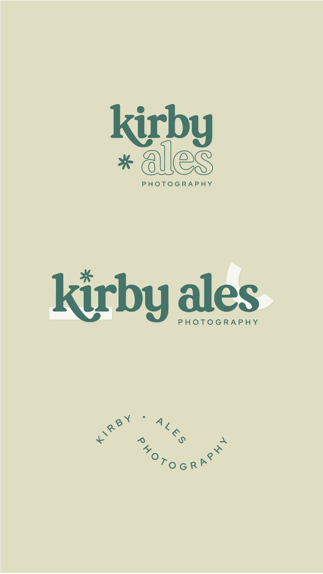 colorful-photographer-branding-2