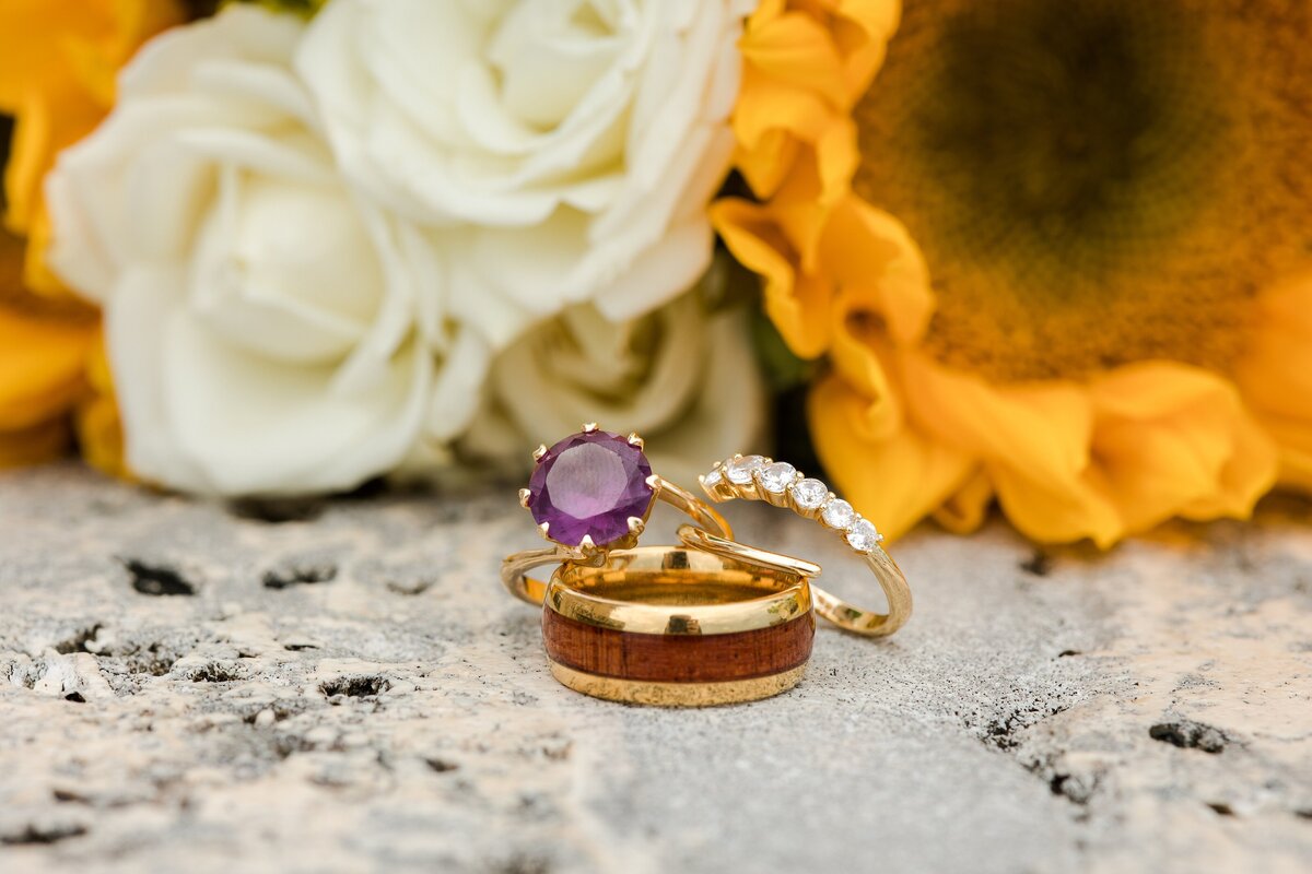 Central Florida Wedding and Engagement Photographer_0330