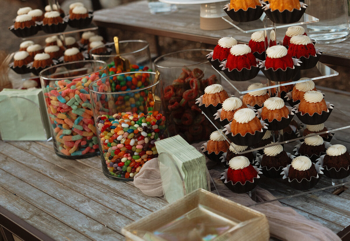 Aaren-Cadieux-Photo-TemeculaBackyardWedding-713