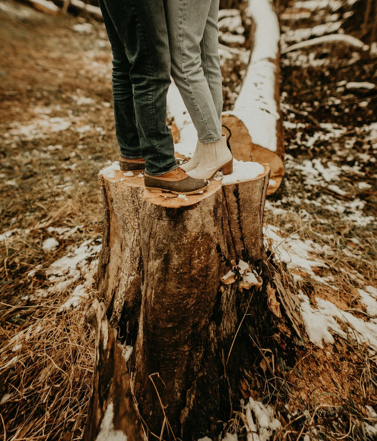 devon-divine-Mm_xpr-Si1A-unsplash