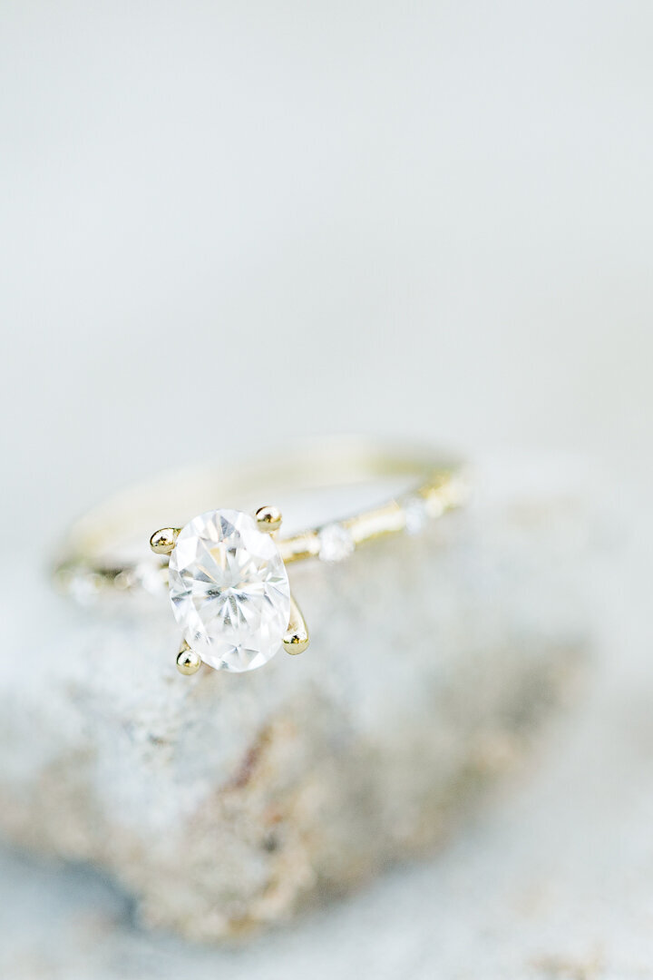 Tanessa and Edward Engagement 02.03.24 Sneak Peak-0679