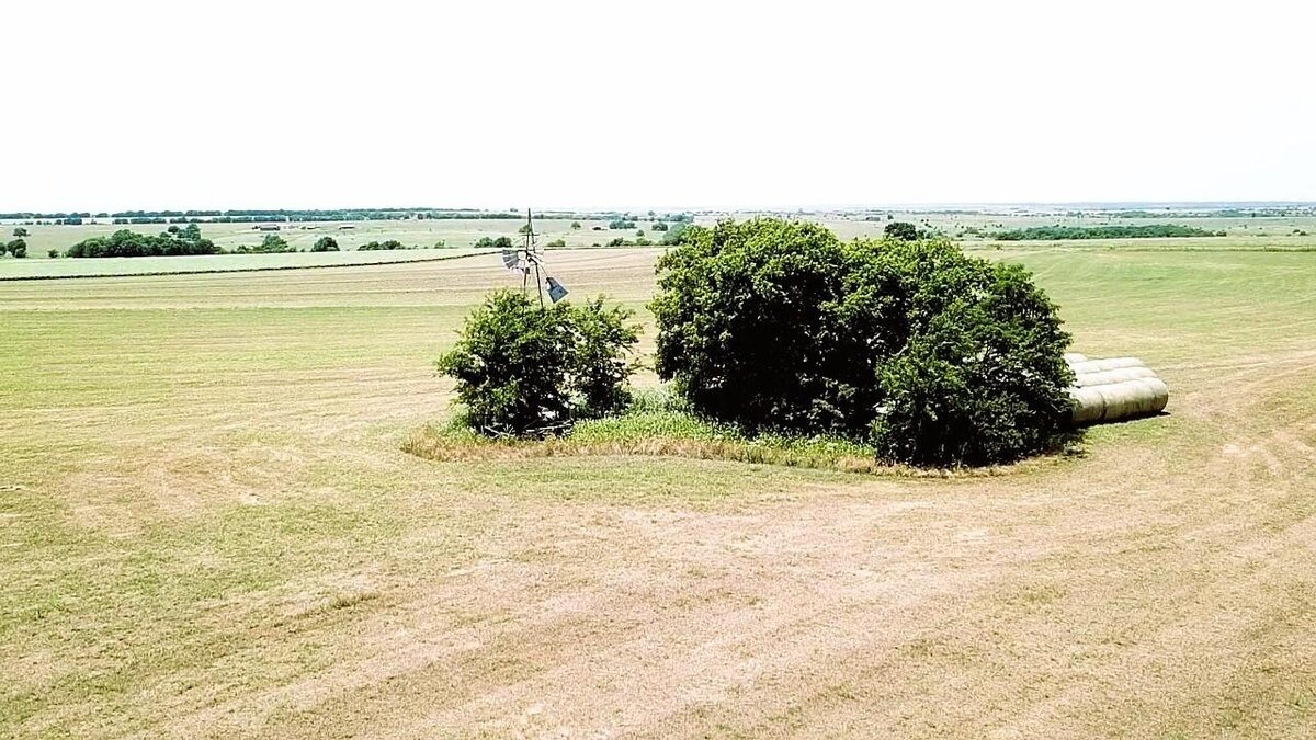 lose-up of grassy pasture on unrestricted acreage in Lindsay, TX with trees