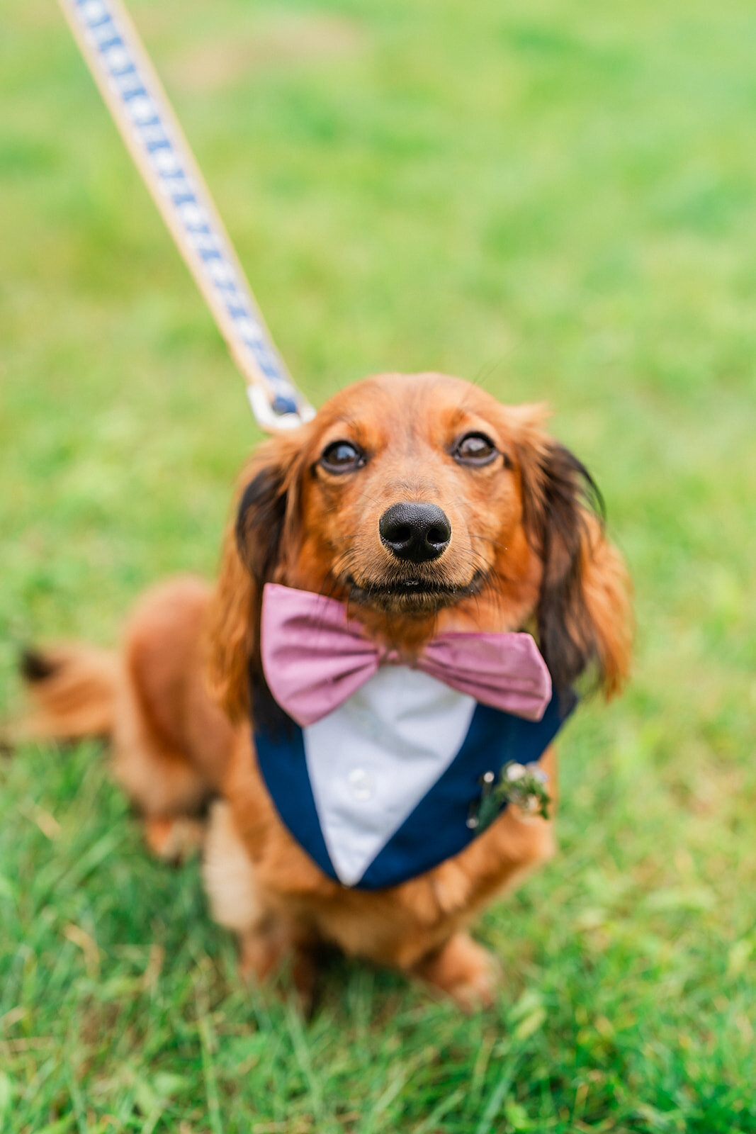 Maine-wedding-photographers130