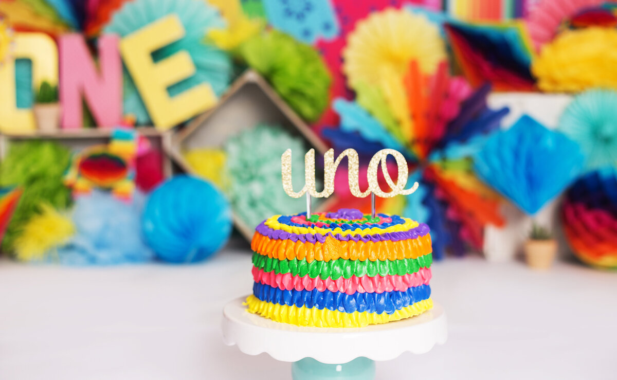 Close up of a colorful cake for a cake smash photoshoot with Franklin, Tennessee familu photographer