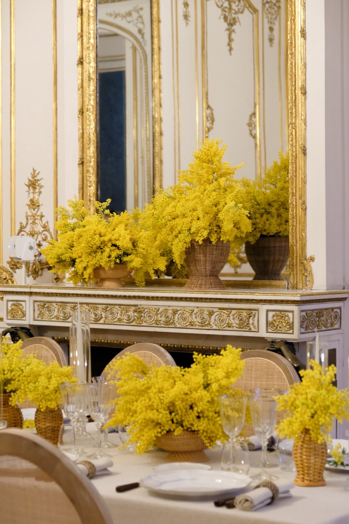 Hotel d'Evreux-florist-mimosa3