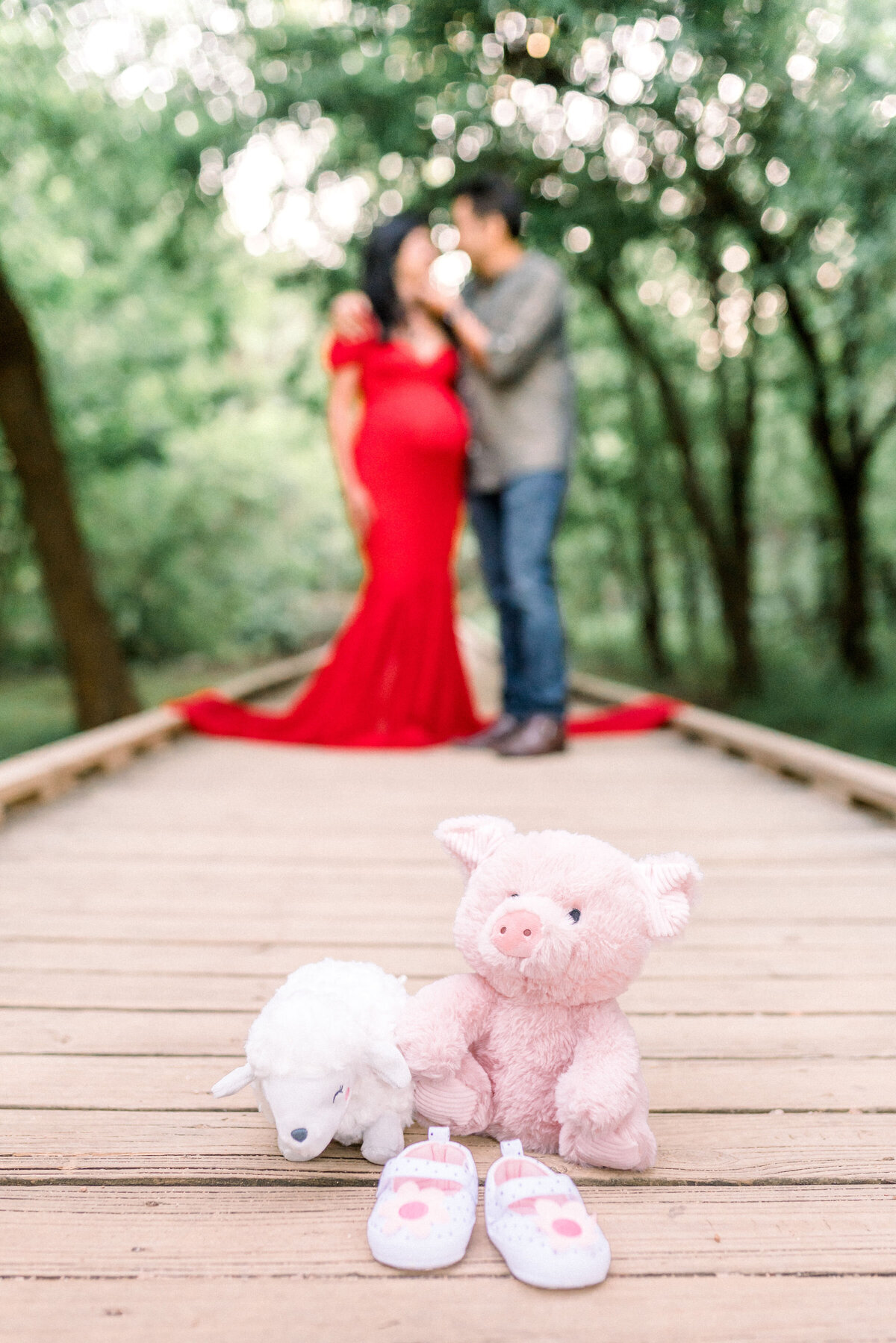 Austin Texas Indian Maternity Photograph