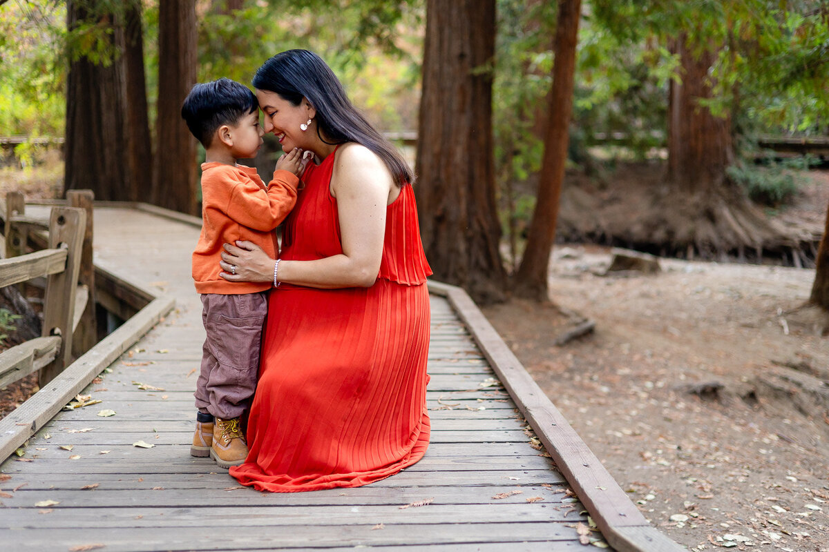 Pregnant mom and son connecting on a wooden bridge among the redwood trees – Ellobelle Photography