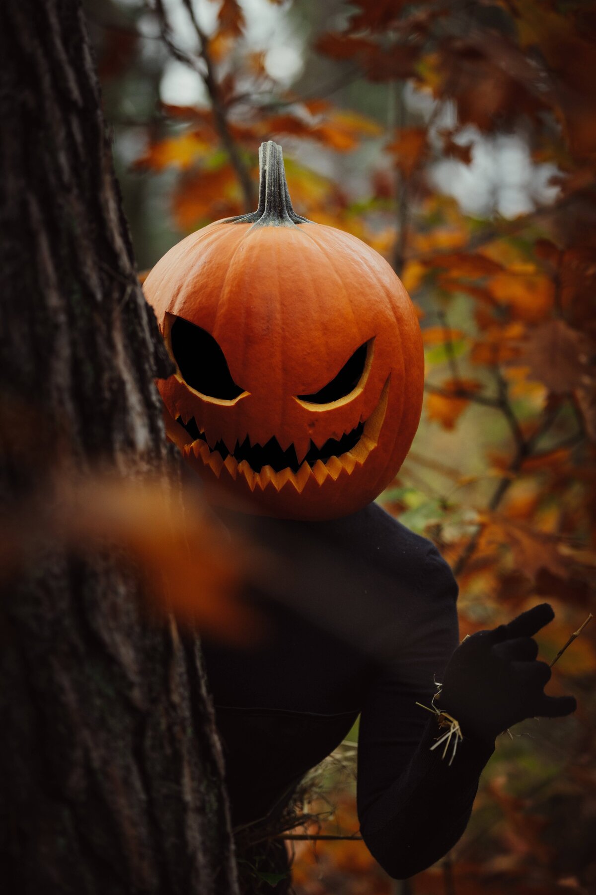 2022-10-29_HALLOWEEN_ILCE-7M4_0331_color