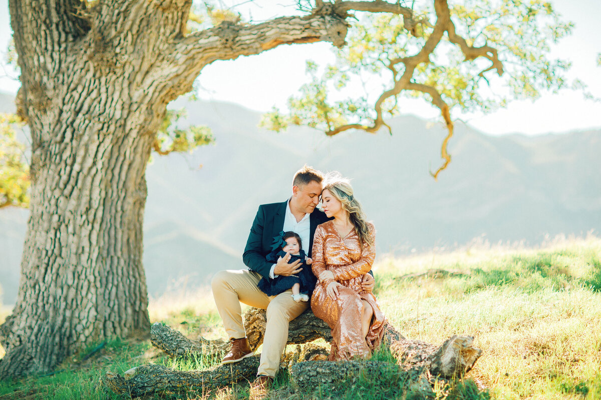 Family Portrait Photo Of Couple Holding Their Baby While Sitting Under a Tree Los Angeles