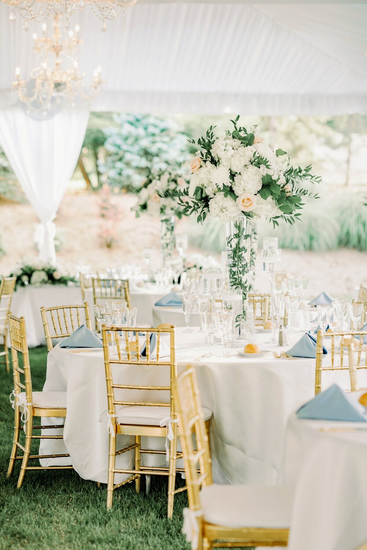 colonial williamsburg wedding__2824