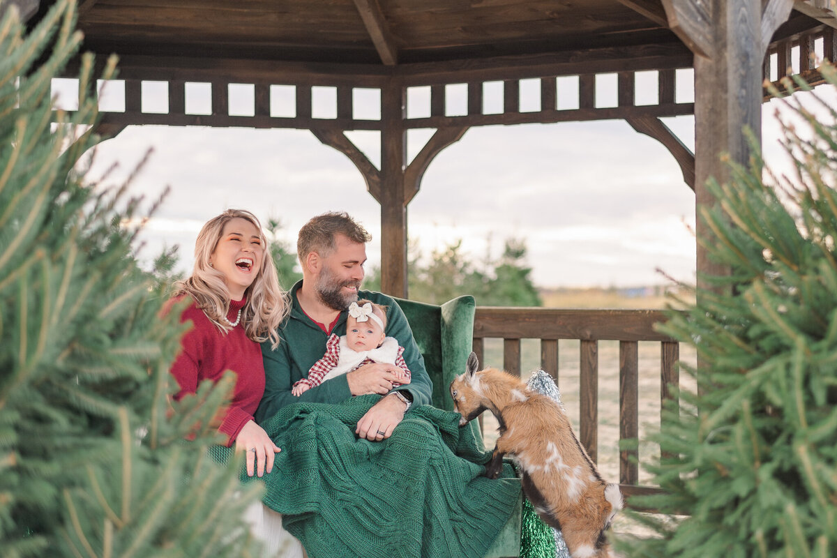 fun-family-minis-christmas-tree-farm