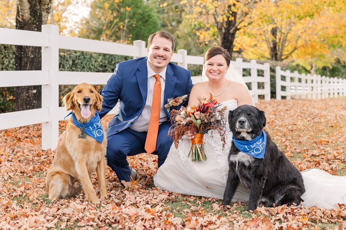 Birmingham wedding photographer - 7