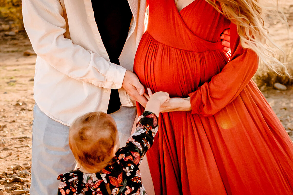 family hands over belly of pregnant mom for Arizona maternity photography session