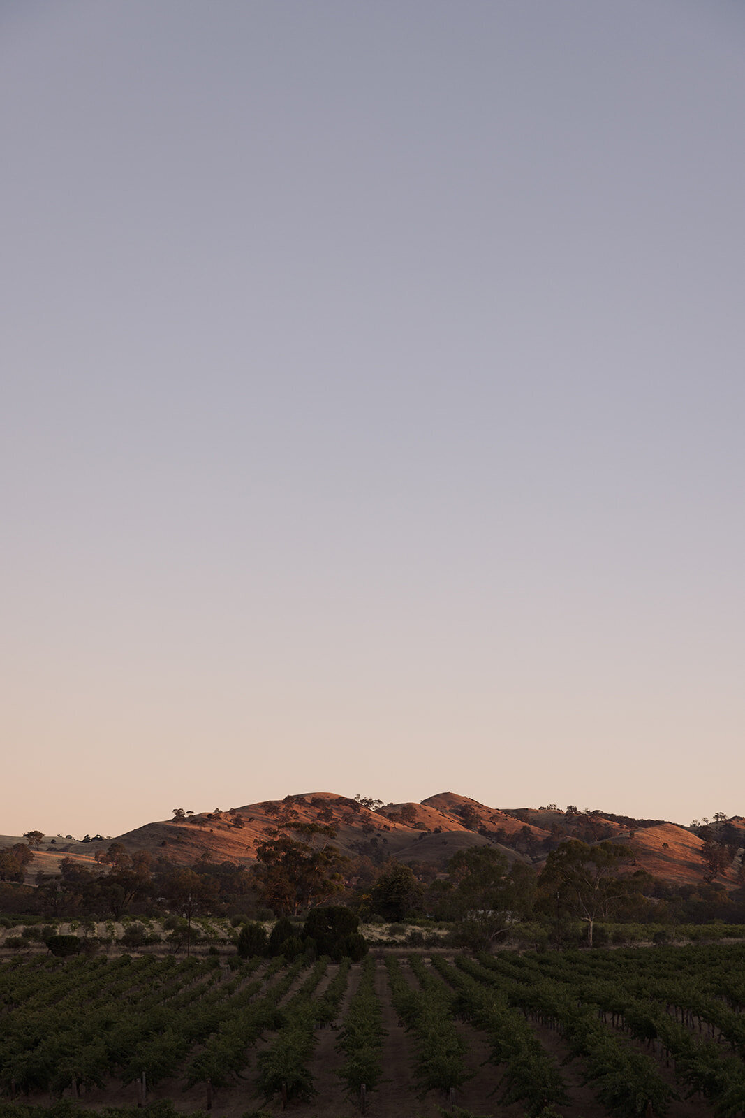 Hannah & Luke NYE-197_websize (1)